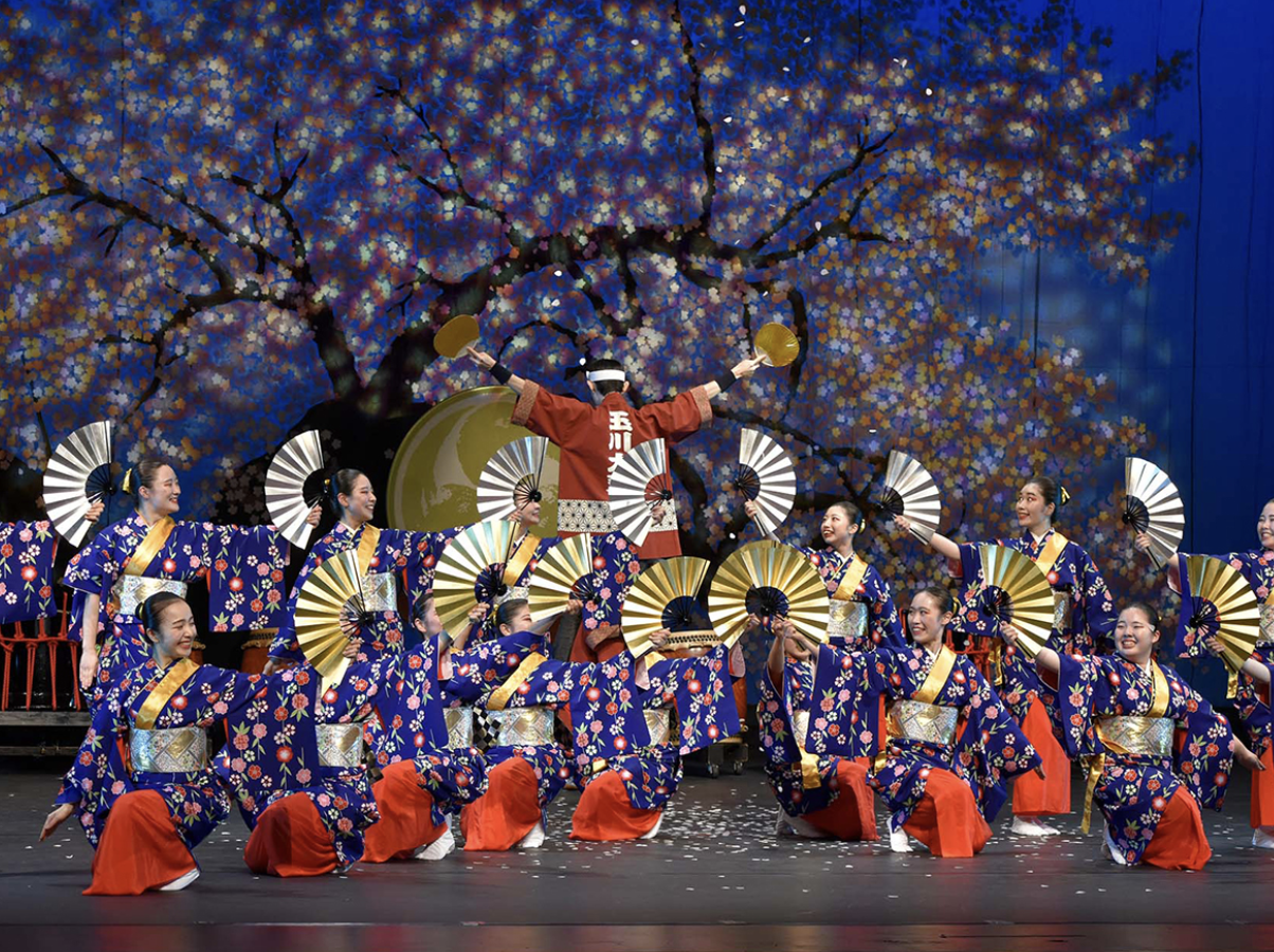 比京都还浪漫？2025费城樱花节全攻略，等你来赴约！